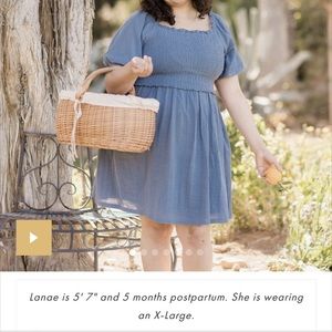 Kindred Bravely Madeline Smocked Nursing & Maternity Dress